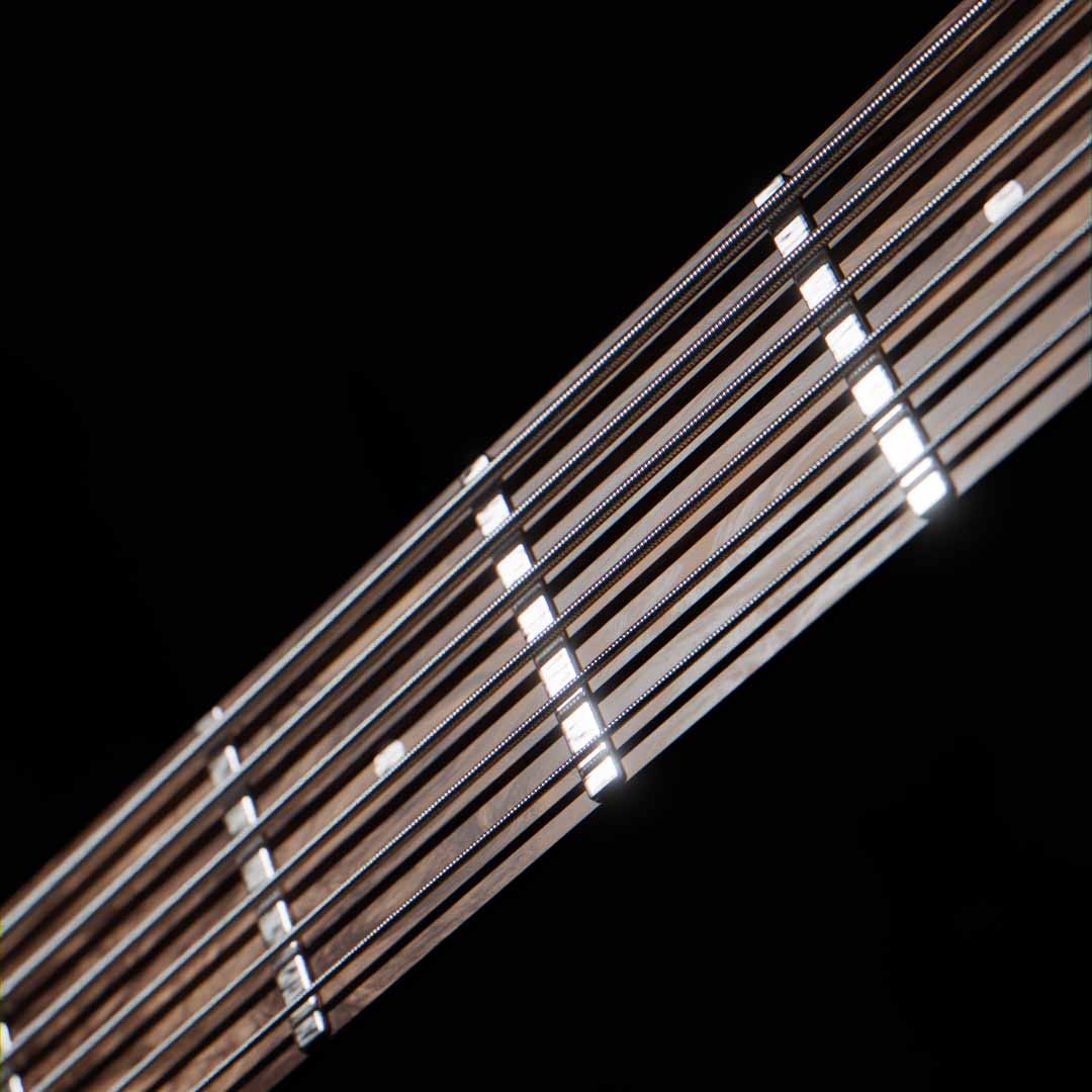 guitar neck and strings CG